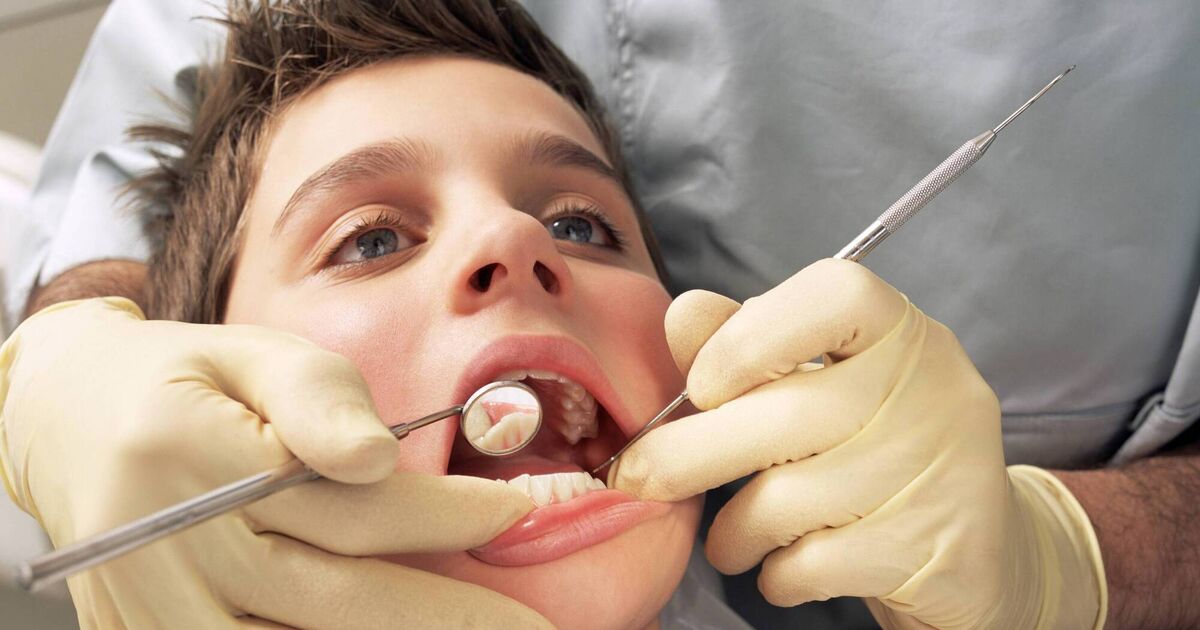 Nineteen recommendations made to reform medical card scheme that is 'haemorrhaging dentists'