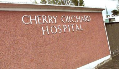 Ireland has half the number of Camhs beds than recommended in 2006 