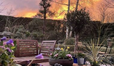 How screening adds a new dimension to the garden 