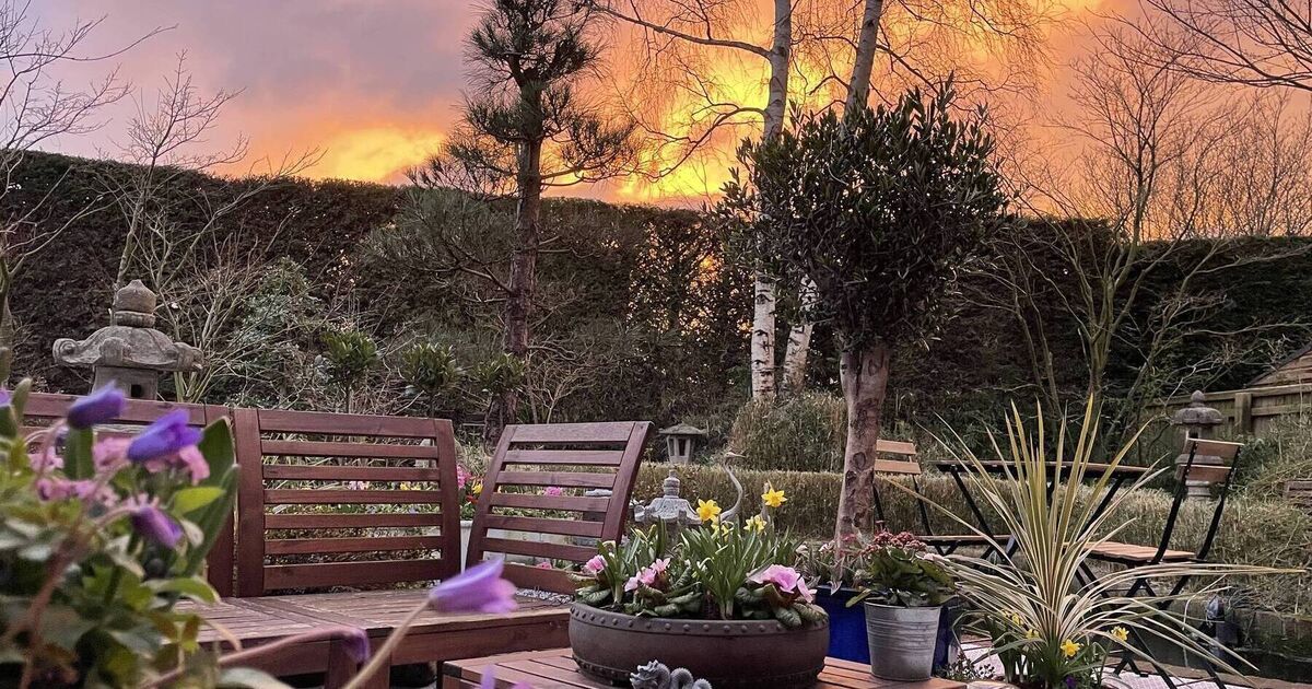 How screening adds a new dimension to the garden 