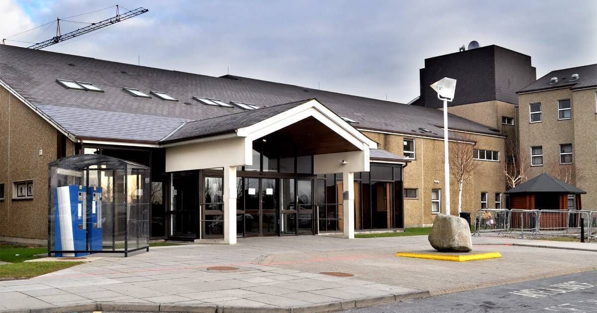 Man in hospital with burns after 'callous' arson attack in Waterford kills his three dogs