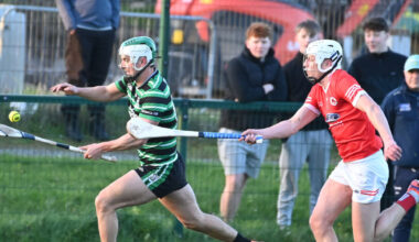 Shane Kingston offers a reminder of his class with stunning display as Douglas beat Charleville