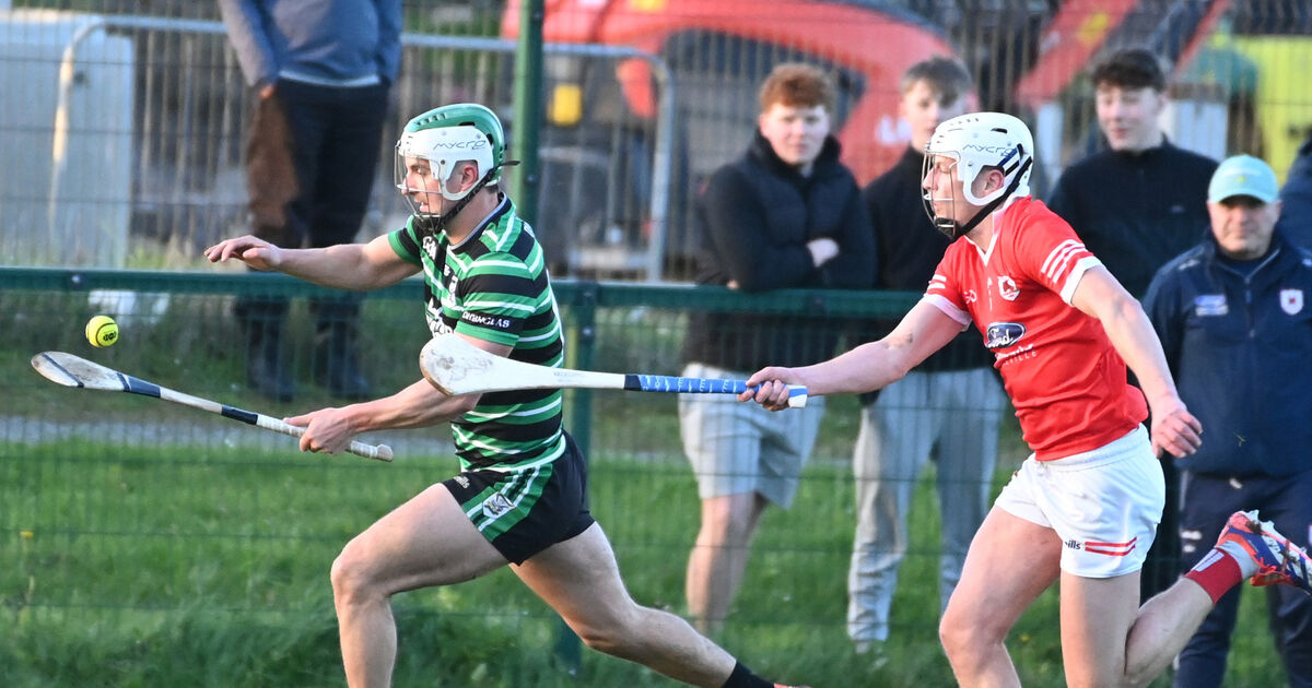 Shane Kingston offers a reminder of his class with stunning display as Douglas beat Charleville