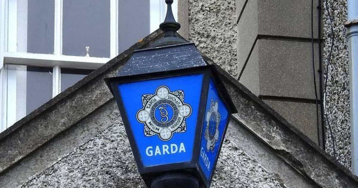 Gardaí appeal for witnesses as teen dies after being struck by car in Cork