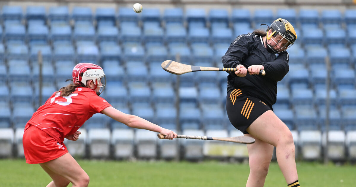 Cork U23 camogie team lose out to Kilkenny in the All-Ireland round robin series