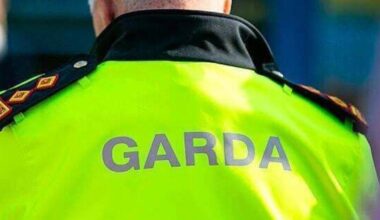 Investigations launched into 12 cases of garda domestic and sexual abuse misconduct
