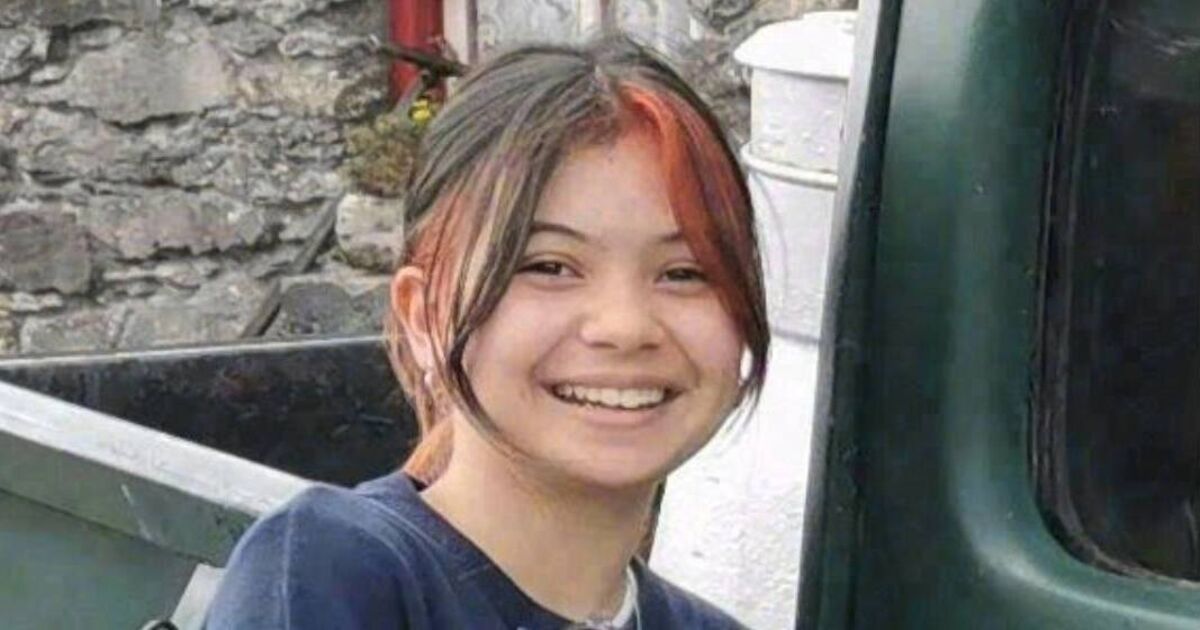 Cork father's appeal for motorbikes at daughter Amelia's funeral tomorrow