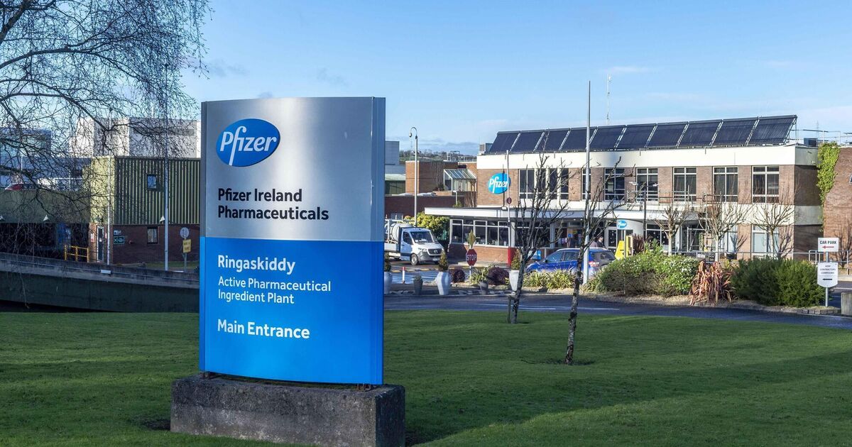Pfizer to cut more than 100 jobs at Ringaskiddy plant in Cork