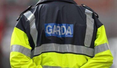 About 270 gardaí off duty every day last year due to injuries suffered at work, new figures show