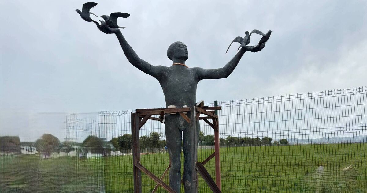 Cork road's 'Man with Birds' sculpture gone to a safe space as M28 works underway