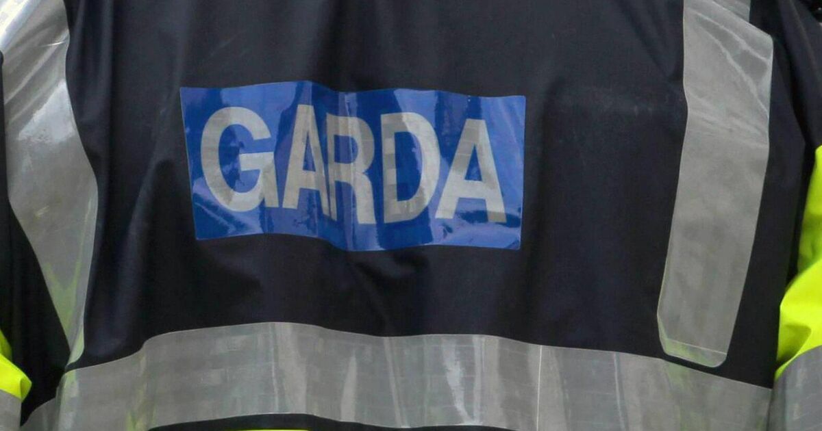 Drunk man verbally abused garda in Cork city