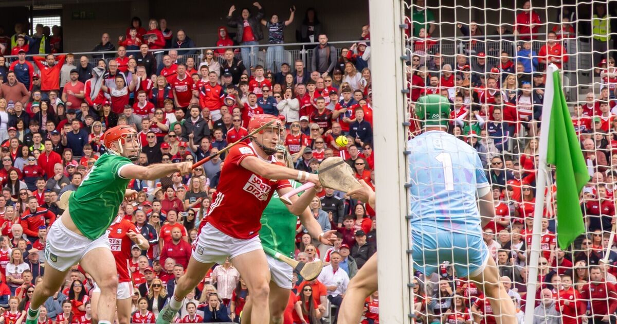 How the Rebels fared against Limerick