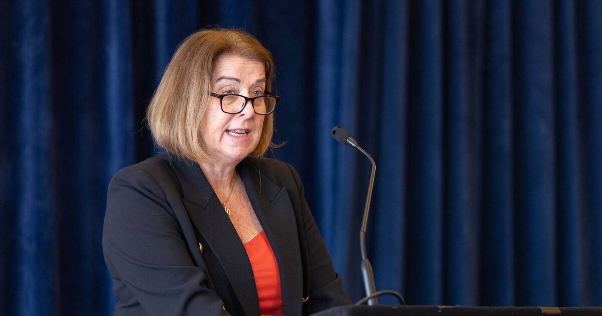 HSE launches investigation into autism charity after alleged transfer of €1.5m in funds