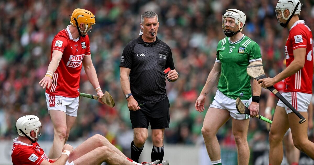 Limerick's Cian Lynch handed one-match ban - Irish Examiner