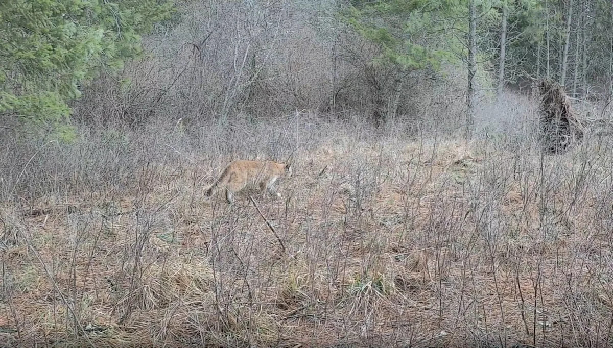 Yahoo lifestyle home