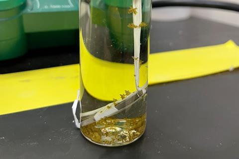 Metal sample in liquid with crystals of corrosion product
