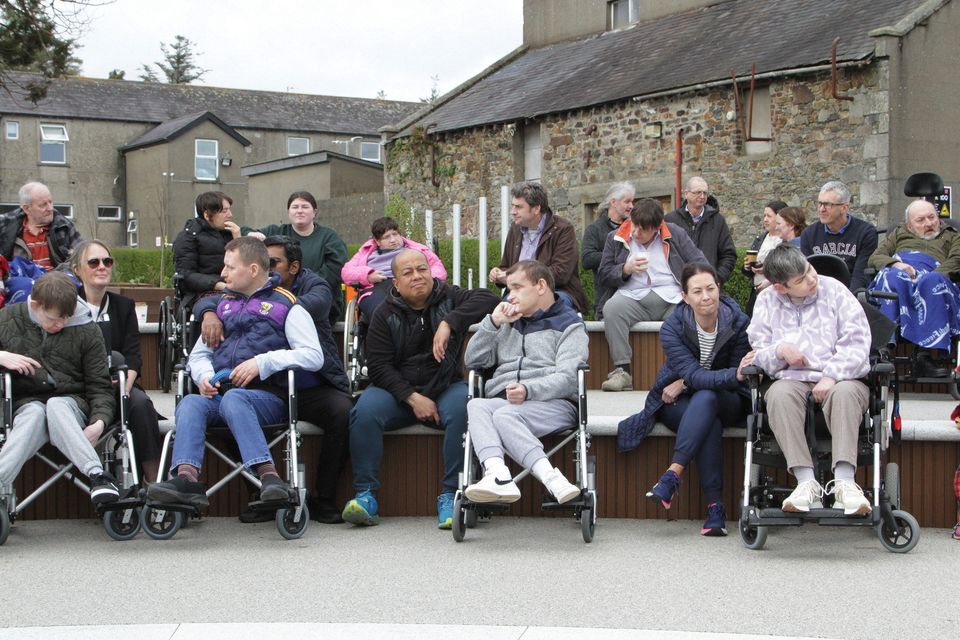 The activity garden at St John's has become a hive of activity.