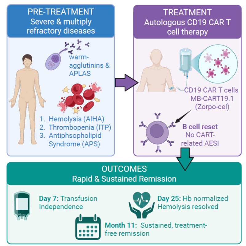 A graphical abstract of the team's case report.