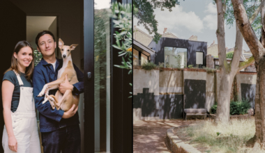 From tyre-strewn yard to eco-friendly ‘treehouse’ in five nightmare years