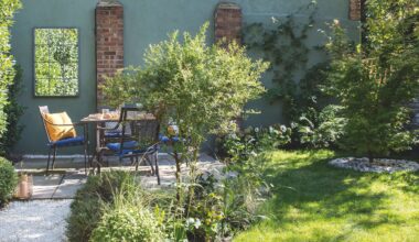 7 shade-loving perennials to brighten a gloomy garden