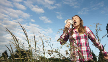 Peak pollen season: Limerick pharmacist issues warning as hay fever hits Limerick