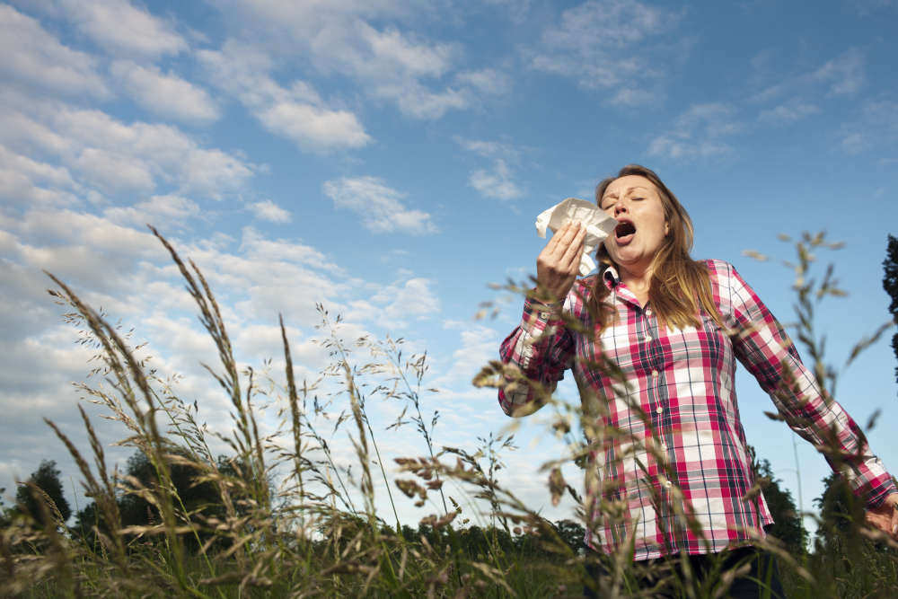 Peak pollen season: Limerick pharmacist issues warning as hay fever hits Limerick