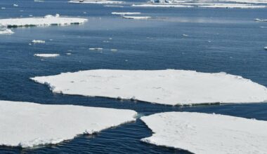 Deep-ocean heat near Antarctica threatens catastrophic sea rises | National