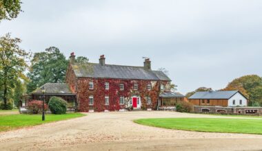 Horse racing trainer Jim Bolger’s Coolcullen home and training facility for €4m – The Irish Times