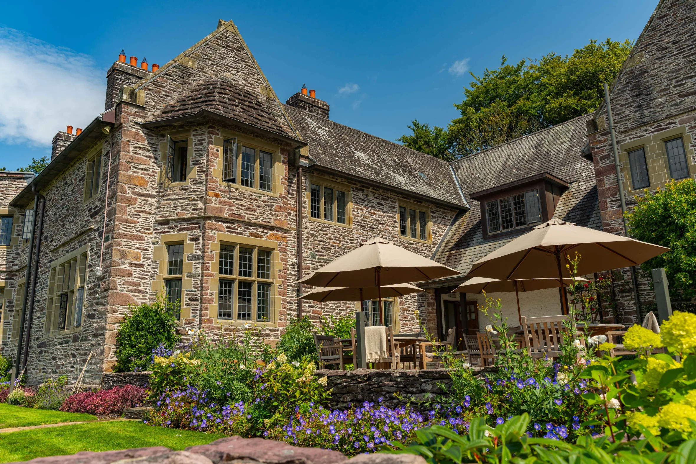 NINTCHDBPICT001070660772