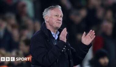 Michael O'Neill claps the fans