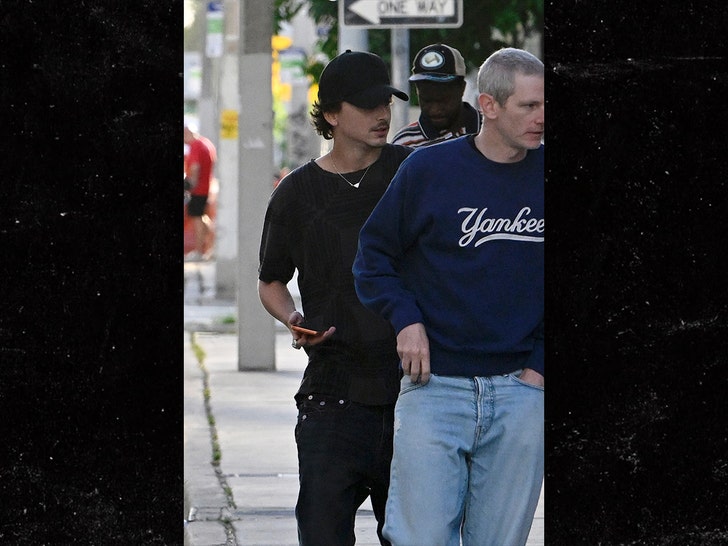 Timothee-Chalamet-backgrid-2