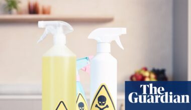 Largest-ever ban on toxic chemicals in EU hit by ‘extremely frustrating’ delays | Pollution