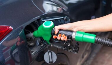 Petrol and diesel prices spike again with 13c increase in past week as energy minister touts ‘specific’ interventions coming from EU
