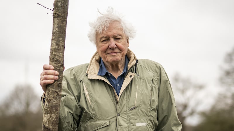 Once-in-a-lifetime wildlife trips inspired by Sir David Attenborough’s 100th birthday