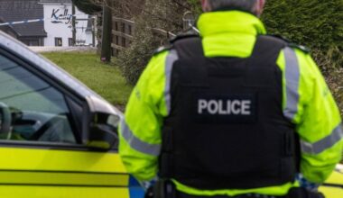 Scarlett Faulkner’s cousin (10) in critical condition after fatal car crash in Antrim – The Irish Times