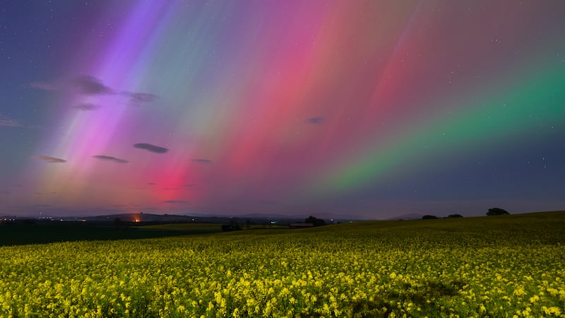 Raluca Lica's Aurora above the Golden Fields was the winner in the Back on Earth Landscape category