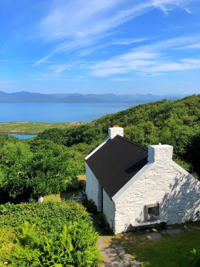 NINTCHDBPICT001071247763