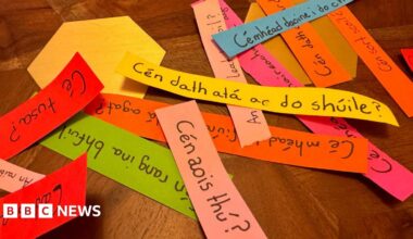 Coloured strips of paper with words in the Irish language on them in black ink