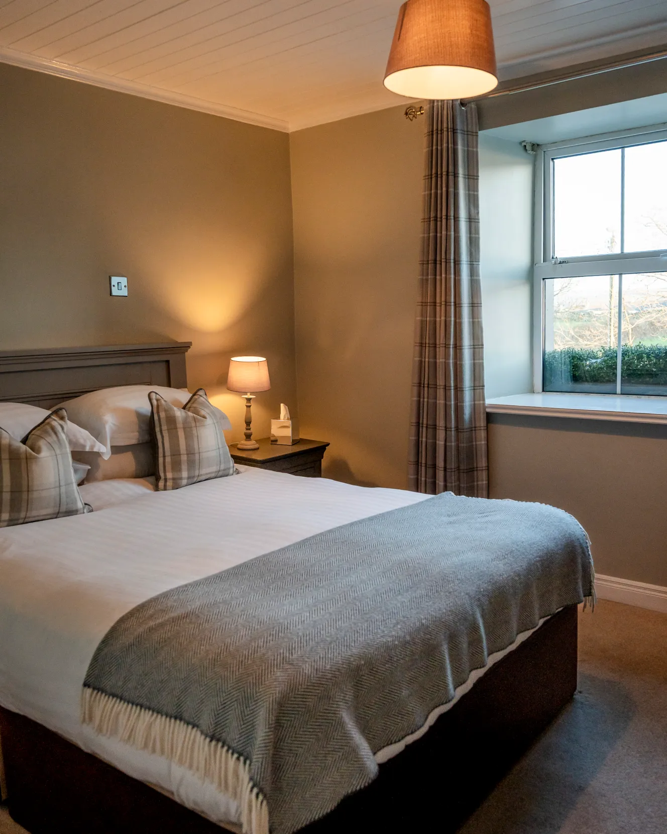 NINTCHDBPICT001072369681