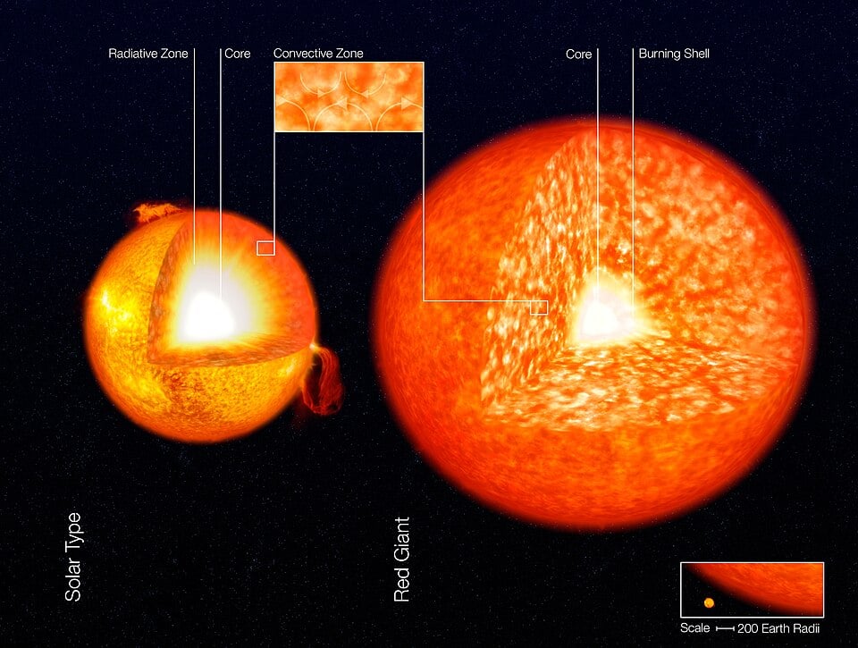 A recent study reveals that magnetic properties of a red giant (shown here in comparison to the Sun) may survive the death of the star (Credit : ESO)