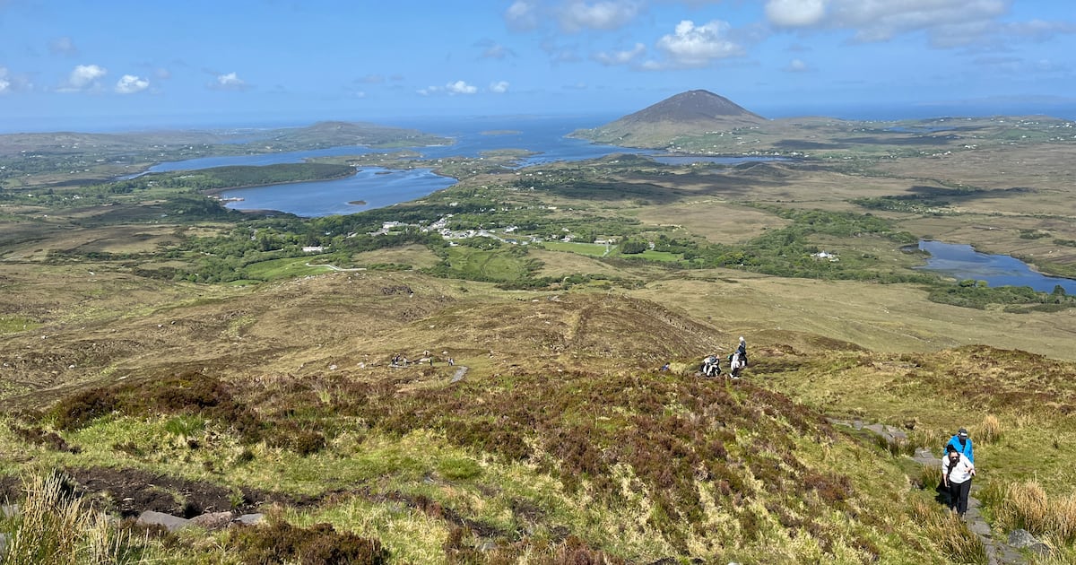 Ireland’s hills are victims of policy that hurts farmers and nature – The Irish Times