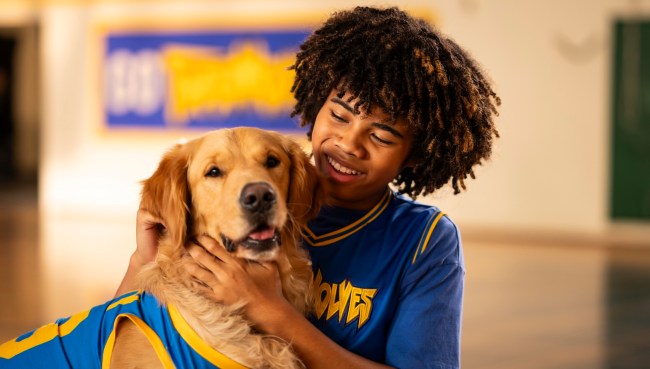'Air Bud Returns' Is an Indie Movie Now