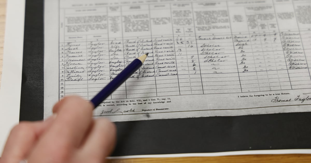 What information will be available? – The Irish Times