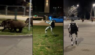 WATCH: Humanoid Robot