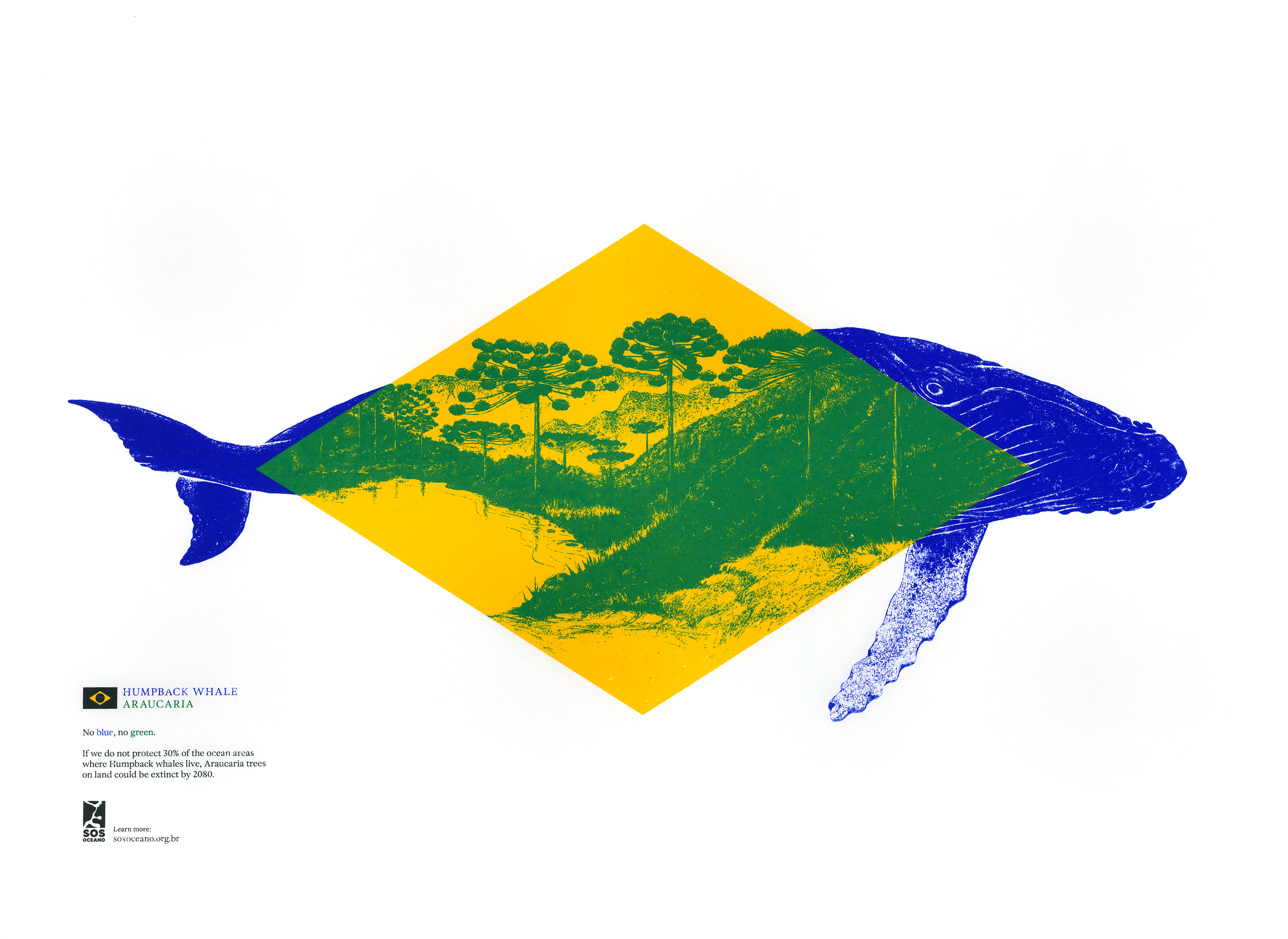 Brazilian flag reimagined for a campaign to raise awareness of ocean conservation