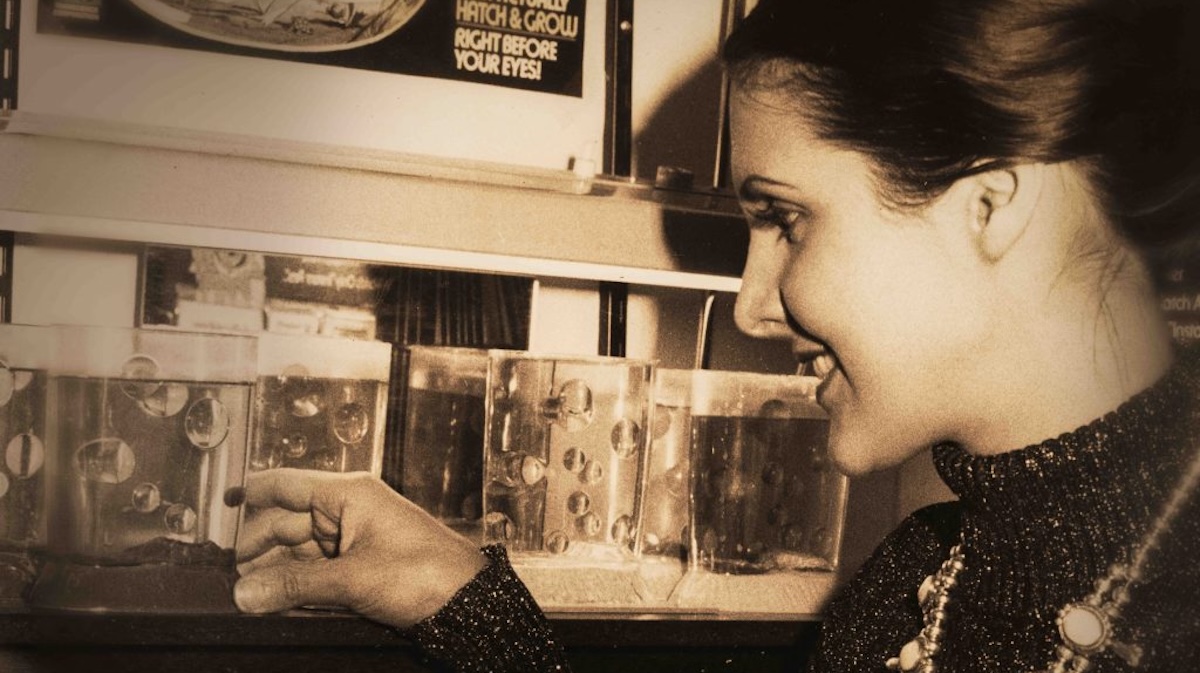 Amazing Live Sea Monkeys Documentarians Discuss a Big Battle Over Tiny Creatures