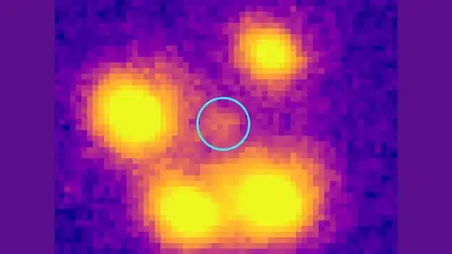 An Einstein Cross Centered Around The Unusual Elliptical Galaxy J1453g.