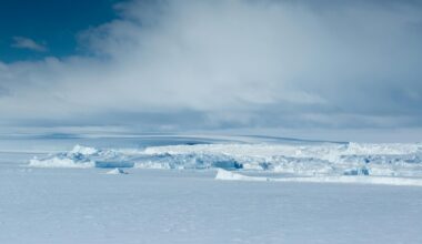Despite accelerating loss of ice through glacier melt, exceptionally heavy snowfall in recent years is adding to the mass of the icy continent.