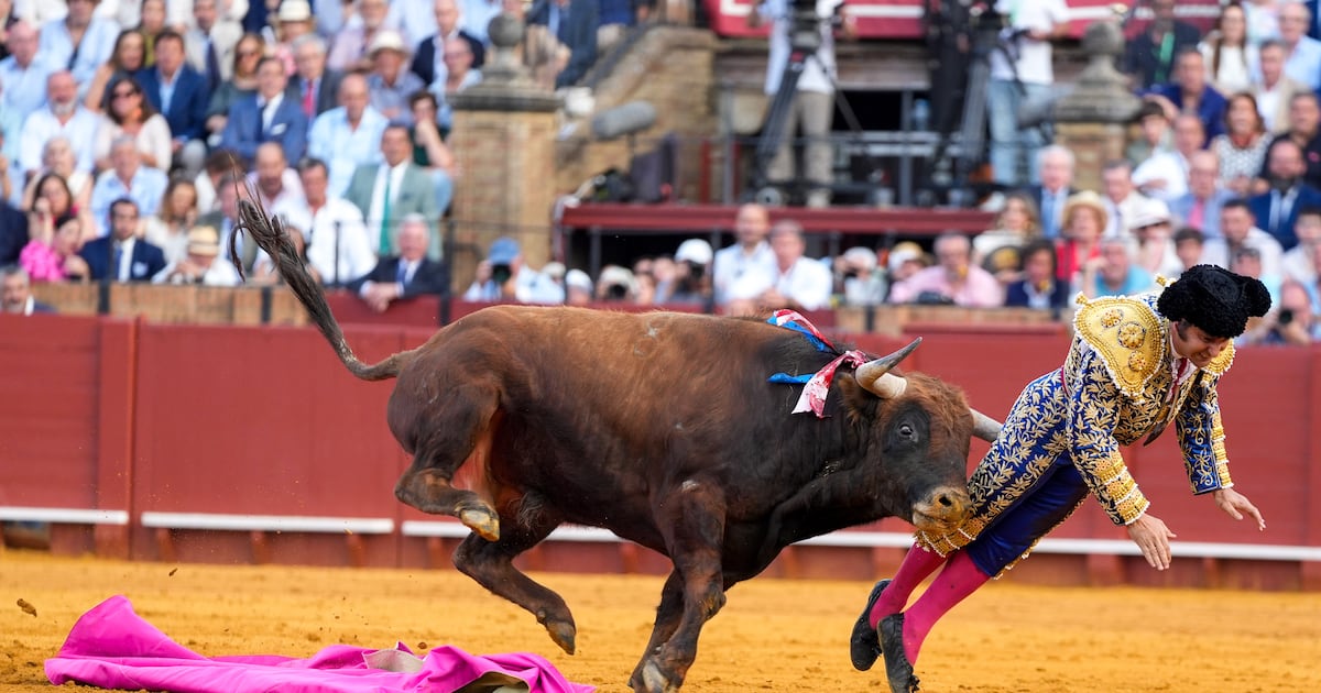 Spain’s ‘greatest matador’ gored by bull in comeback from retirement – The Irish Times