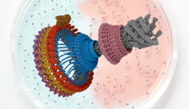 🧫 Bacteria swim using a tiny electric motor that spins several hundred times per second